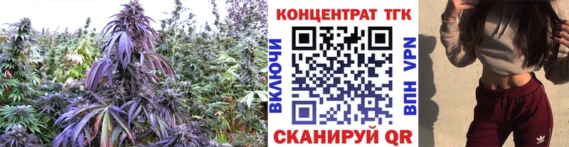 omg рабочий сайт  наркошоп  Магас  ТГК жижа 